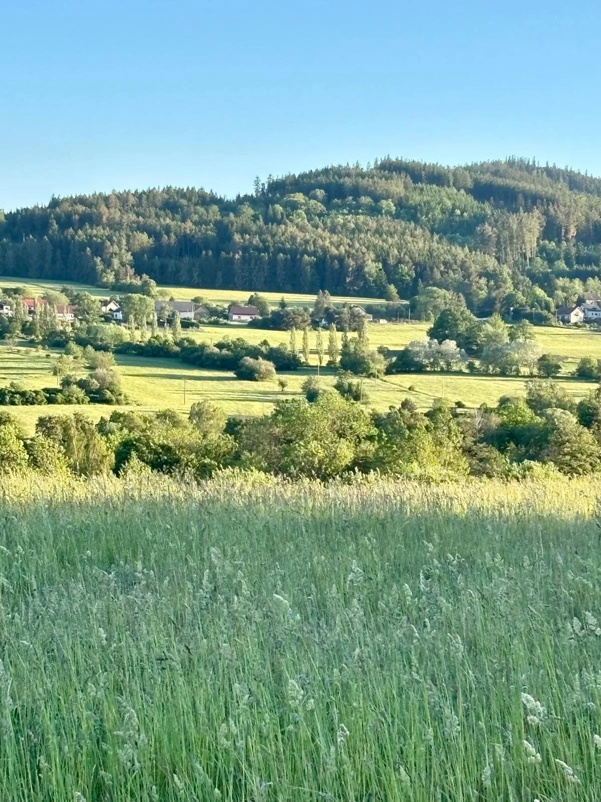 Prostředí kurzů